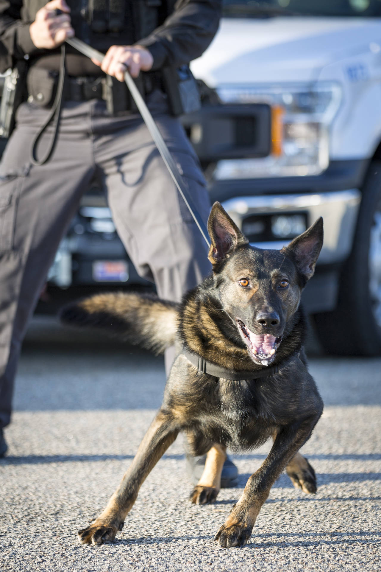 Berkeley County Sheriff's Office